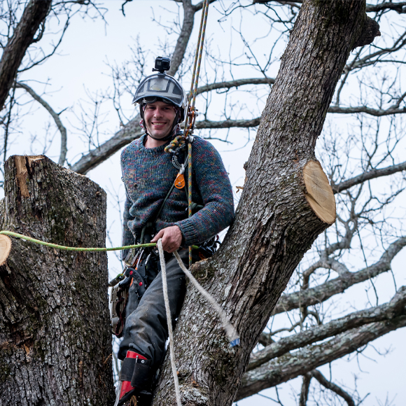 Man cutting trees with commercial insurance in Archbold, OH